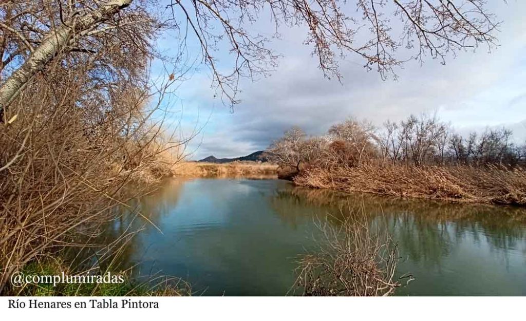 InfoAlcalaina-Blog-de-Complumiradas-1 Rio Henares en Tabla Pintora