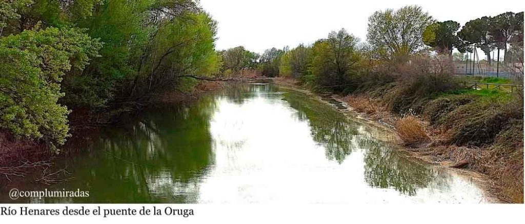 InfoAlcalaina-Blog-de-Complumiradas-2 Río Henares desde el puente de la Oruga