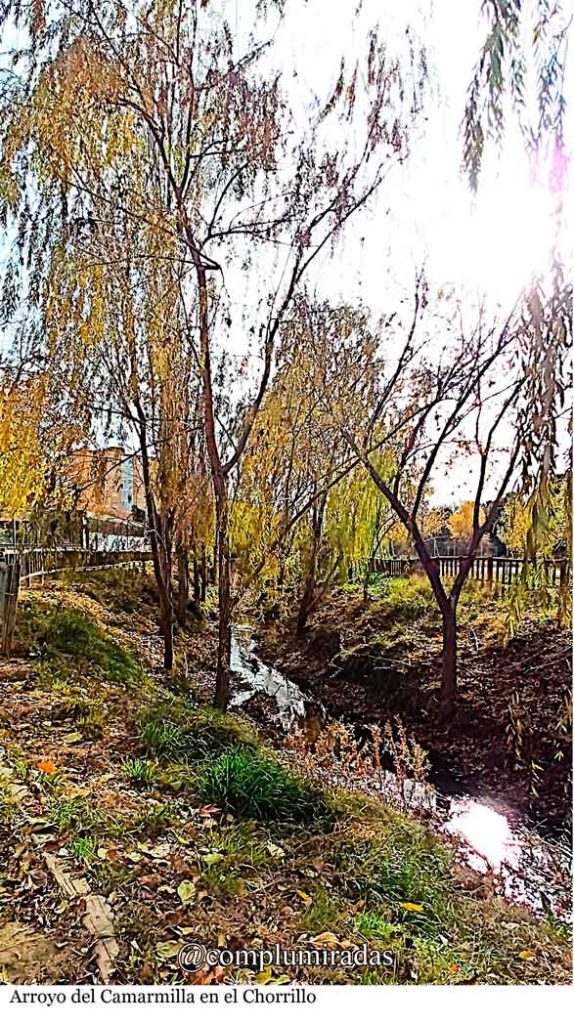 InfoAlcalaina-Blog-de-Complumiradas-3 Arroyo Camarmilla